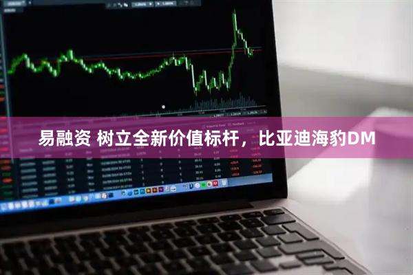 易融资 树立全新价值标杆，比亚迪海豹DM