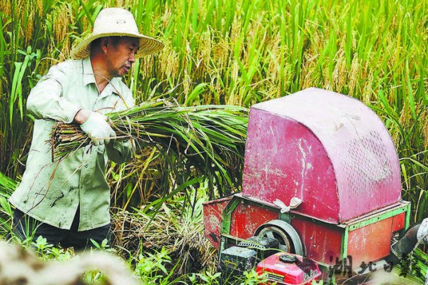 天臣配资 咸丰：丰景如画庆丰年
